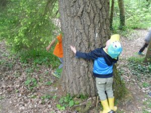 "Ja, wie dick ist denn der Baum?"