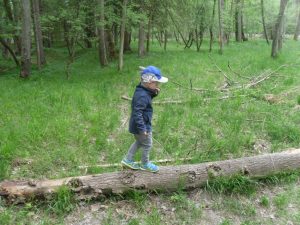 Beim Waldpass mußten viele Prüfungen bestanden werden.